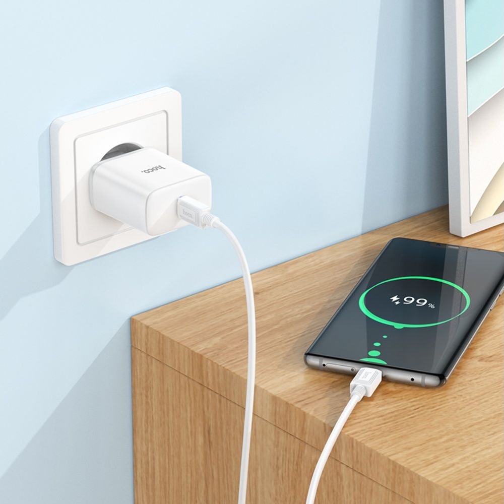 Сетевое зарядное устройство Hoco C104A, Type-C белое + кабель Type-C на Type-C